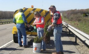 Working to Keep Seedlings Wet