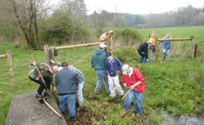 Mulitiflora Rose Removed from Fields