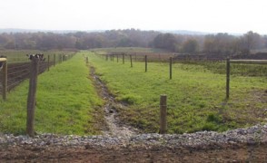 Fencing Off This Stream