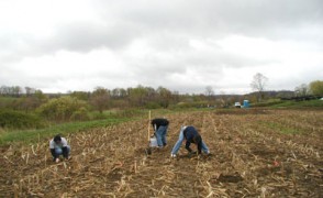 Students Take on a Difficult Task