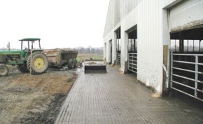 Manure Loading Ramp