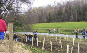 Trees, Livestaking, Fencing and Landscaping