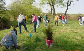 Students Hard at Work Planting Trees