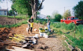 An Exciting Day of Tree Planting