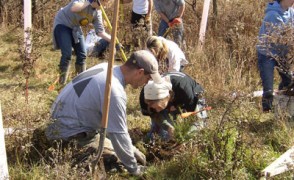 Maplewood Student Planting a Pine