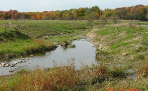 Natural Revegetation