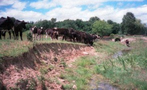 The Massive Effect Rushing Water Can Have