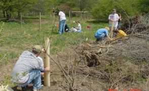 Students Place Tree Shelters Around Trees