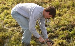 A Student from Maplewood Pounds a Livestake