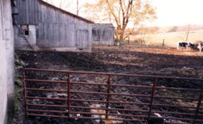 Barn Roof Water Runoff